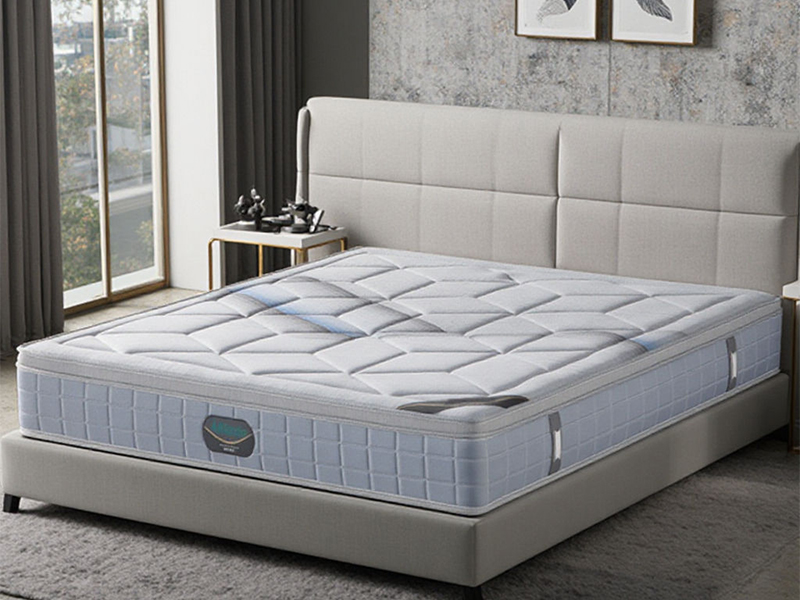 Full Technical Support